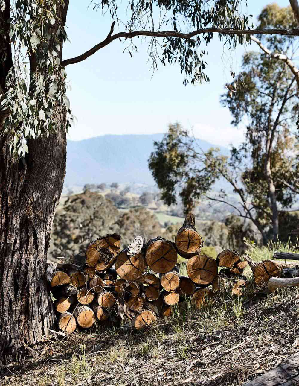 [ Một ngôi nhà đồng quê đương đại, nằm trên sườn đồi]